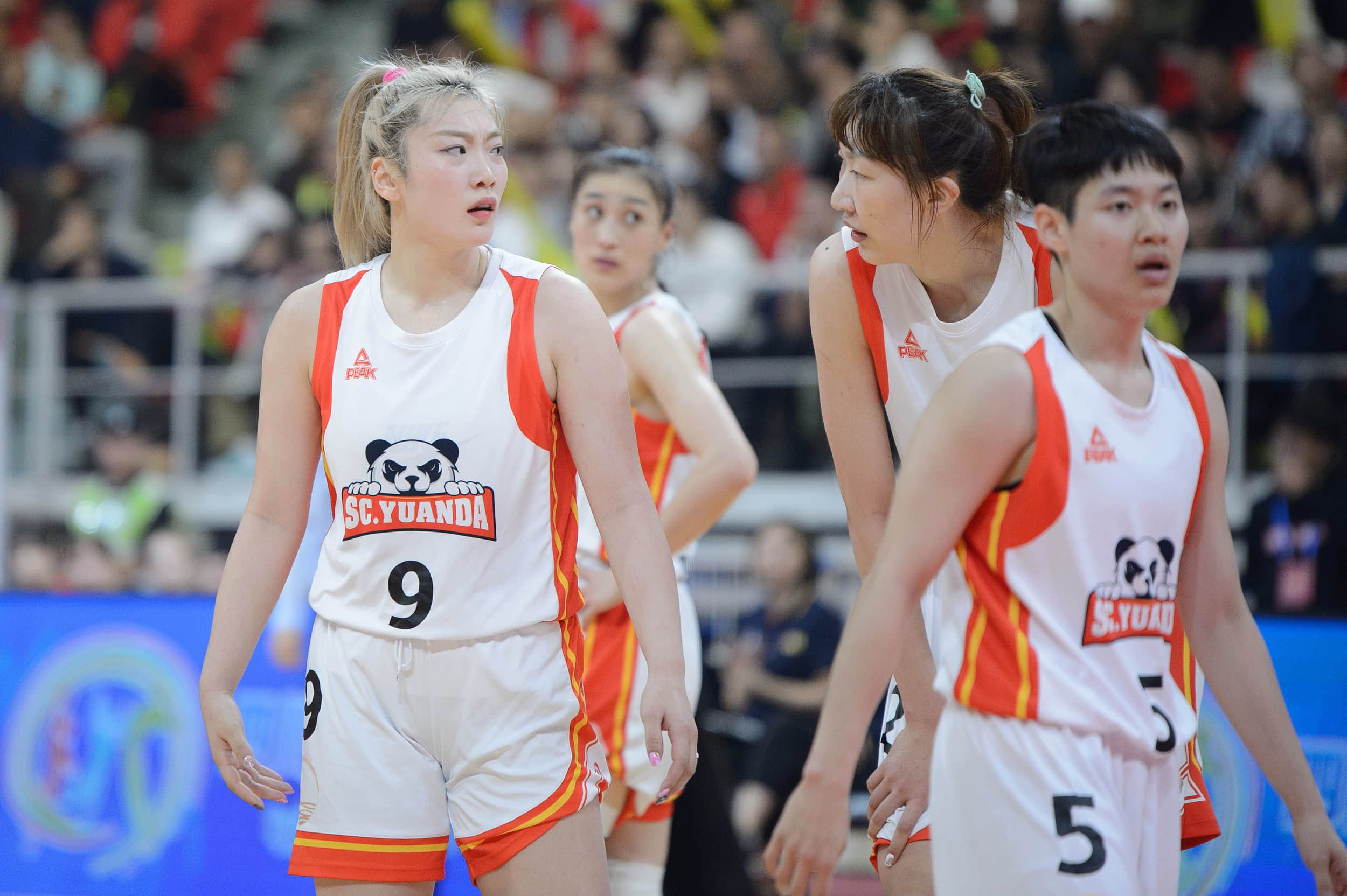 🏀四川女篮VS泗水狂热前瞻：四川女篮家门口作战 众国手坐镇剑指开门红